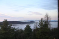 spring day with towering evergreen trees with fog risingf rom valley and mountains in distance