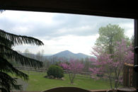 view through great room window across deck and yard with pink flowering bushes with mountains in distance