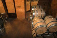 Pallet of stacked oak barrels with metal rings