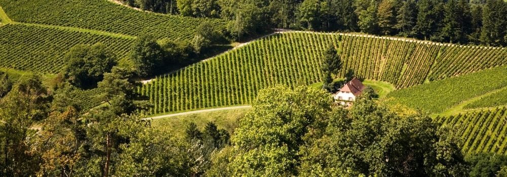 white house situated between rolling hills surrounded by trees